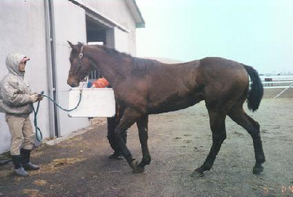 ����Ʈ���� ����