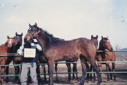 ���� ����