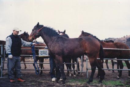 ��ǳ��� ����