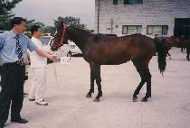 ������� (DAEWANG JAKJEON) ����