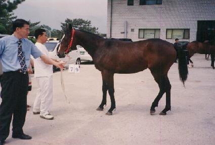 ������� ����