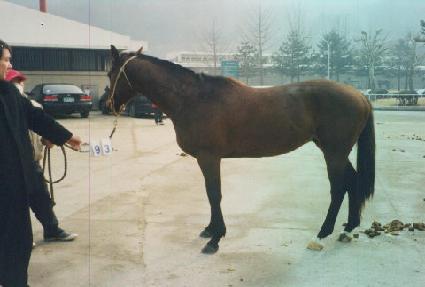 ĳ���� ����