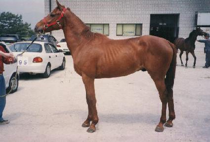 �̵��ʵ� ����