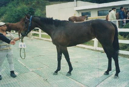 �̺��ǹ̼� ����