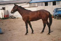 �̰��� (IGANGSAN) ����