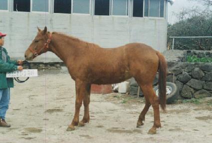 �ض㶧 ����