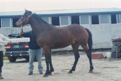 ���� ����