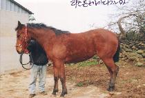 û�迩�� (CHEONGGYE YEOSIN) ����