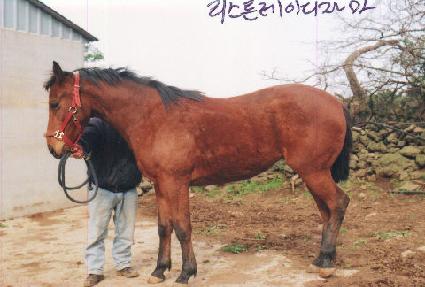 û�迩�� ����