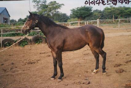 ��Ʈ�� ����