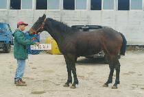 ���� (DEUNGJANG) ����