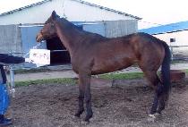 ������� (TTANON USEUNG) ����