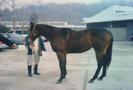 °���÷��̾� ����