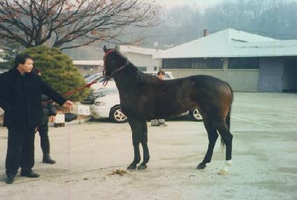 ���ݽ�ȭ ����