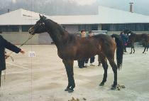 �޺� (KKUMBI) ����