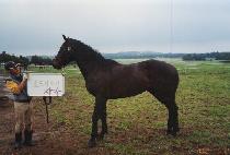 �������� (SUMEUN GONGSIN) ����