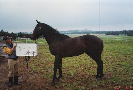 �������� ����