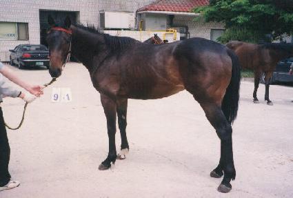 ��ũ ����