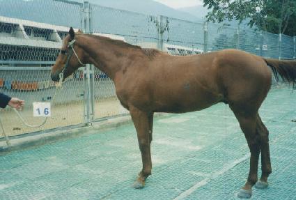 �Ͻ��� ����