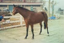 �̽������� (MISS LOVABLE) ����