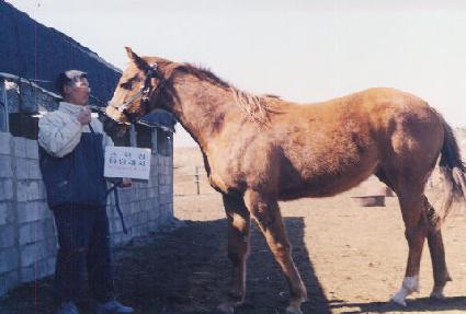 ���� ����