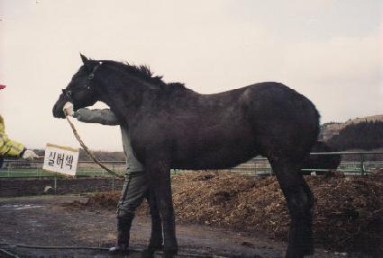 û������ ����