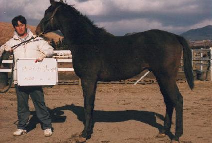 ����Ʈ����Ʈ ����