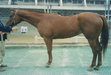 ���ҽ� ����