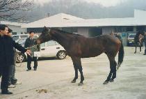 ���н�ȭ (MUPAE SINHWA) ����