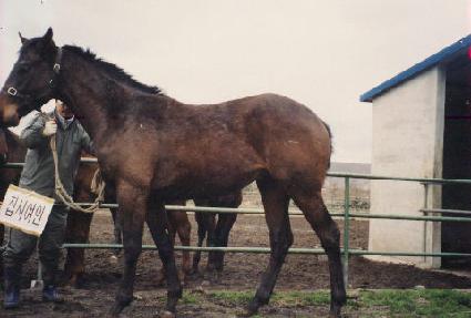 �츮ģ�� ����