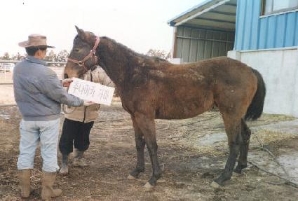 �򸮰� ����