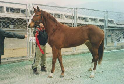 �ظ� ����