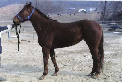 õ���� ����