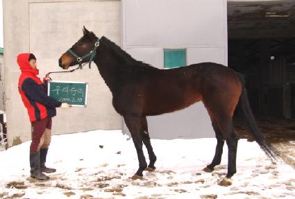 �츮�¸� ����