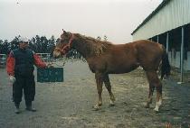 �ݺ��� (GEUMBYEONGSAN) ����