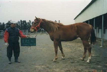 �ݺ��� ����