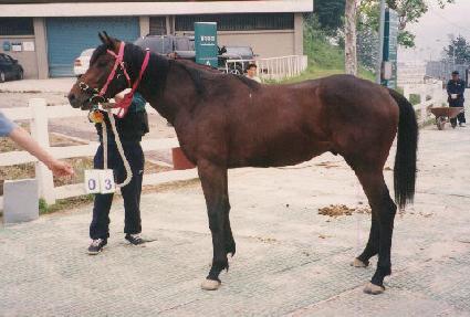 ����ȭ�� ����