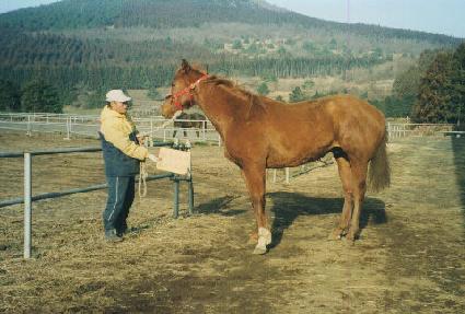 ���ǵ��۽�Ʈ ����