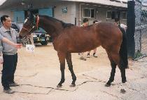 ������� (UNAK HAENGJIN) ����