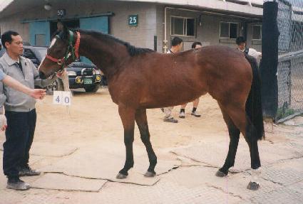 ������� ����