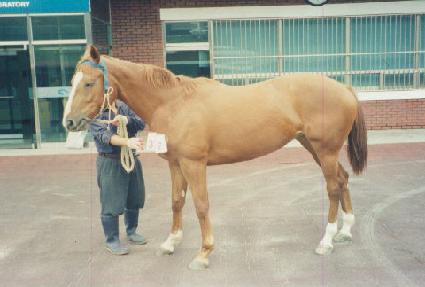 õ�� ����