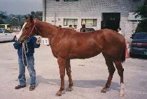 �ռ� (APSEO) ����