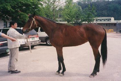 ���ǽ�Ʈ ����