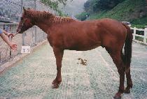 ���� (NALLYEOP) ����