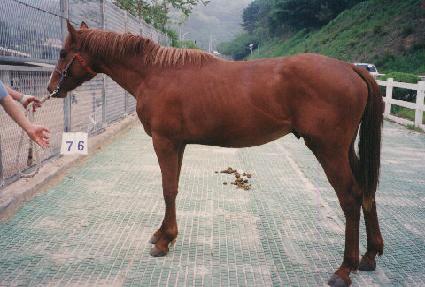 ���� ����