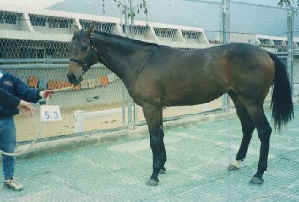 ����ũ ����