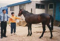 û�ػ� (CHEONGHAE SAN) ����