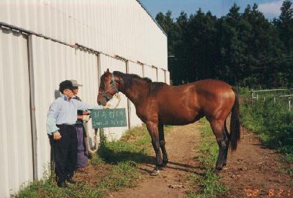 ������ڸ� ����