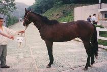 õ������ (CHEONJIPYEONGJEONG) ����