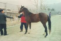 �±��� (SEUNGGI UNSEUNG) ����